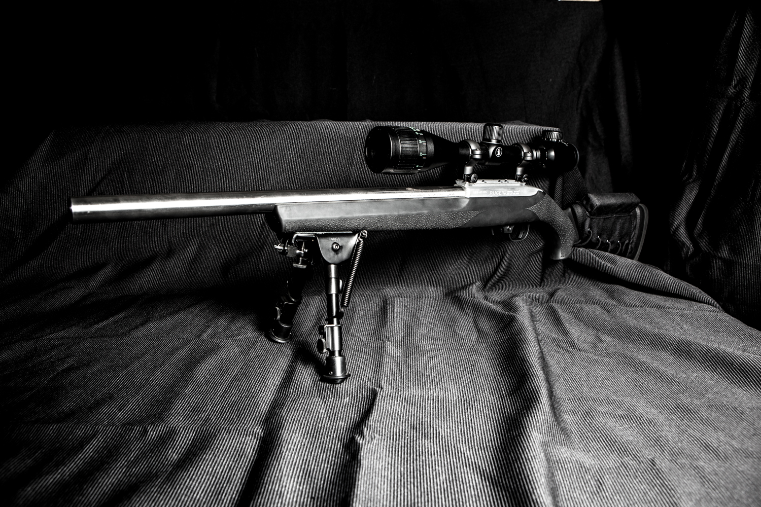 Ruger 10/22 with Green Mountain bull barrrel